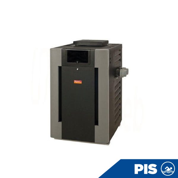 CALENTADOR RAYPAK P-R406A E NATURAL 0-1999 FT SNM